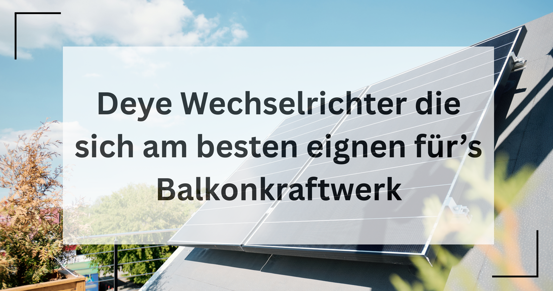 beste deye wr für bkw