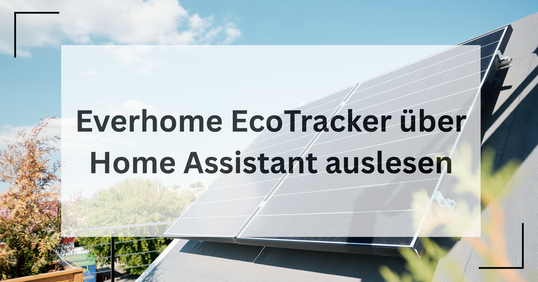 Everhome Ecotracker in Homeassistant auslesen lassen