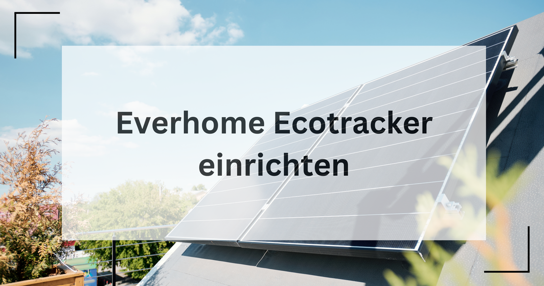 Ecotracker einrichten mit Smart Micro Solar