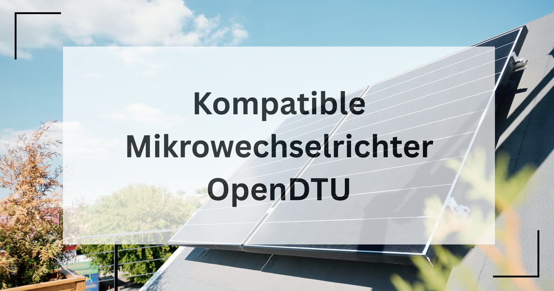 Bild für Artikel der OpenDTU Kompatibilität