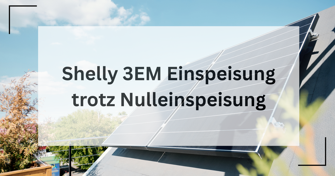 Eine Einspeisung wird auf einer Phase beobachtet obwohl eine Nulleinspeisung installiert ist
